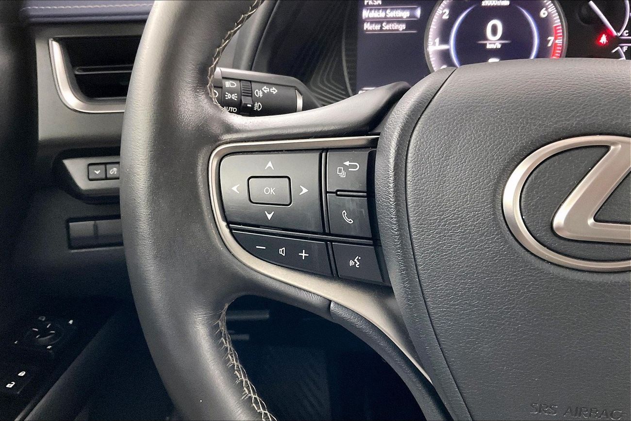 Lexus UX200 F Sport Prestige | Guaranteed Warranty | 0 Down Payment