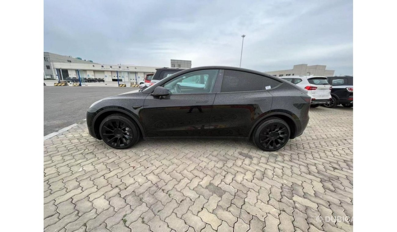 Tesla Model Y PRICE WITHOUT VAT AND DUTY