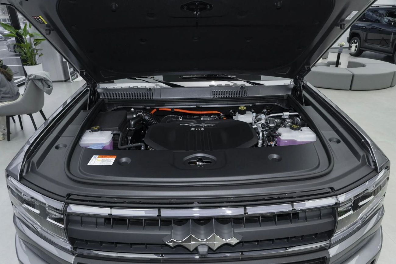 بي واي دي ليوبارد 5