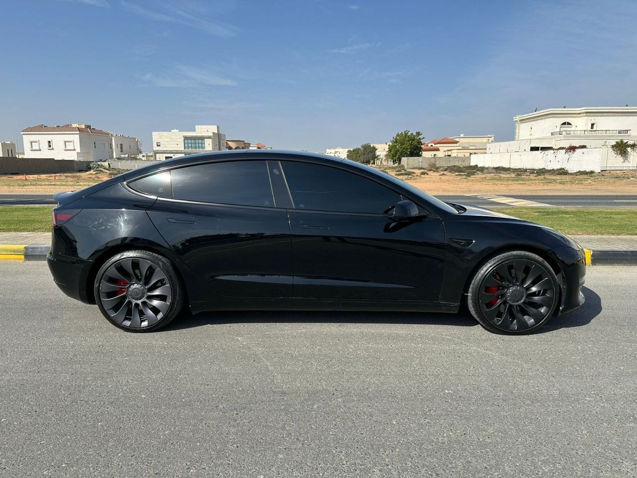 Tesla Model 3 Performance (AWD)