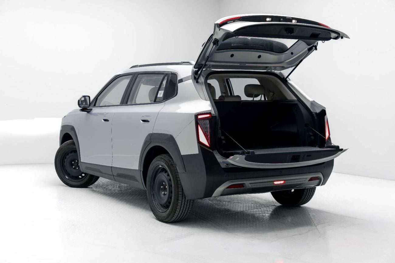 Nammi 06 EV - Silver Inside Grey | Export Only