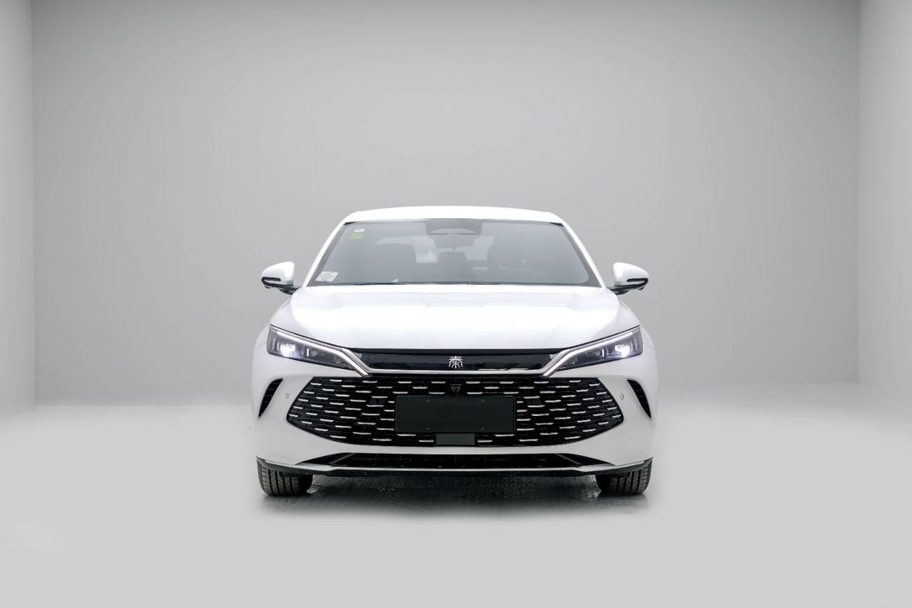 بي واي دي كين ال دي ام-اي Leading Version 1.5L - White Inside Grey | Export Only