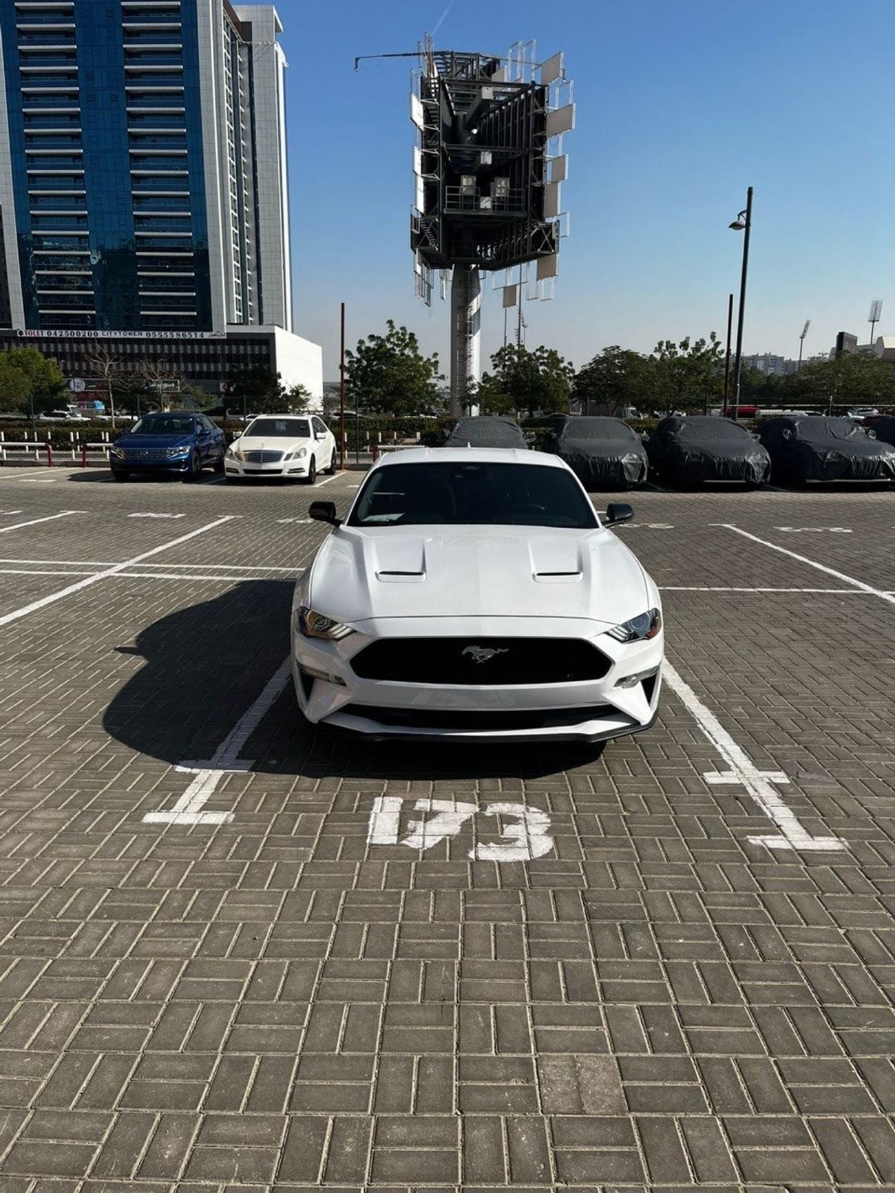 Ford Mustang GT Premium 5.0L V8