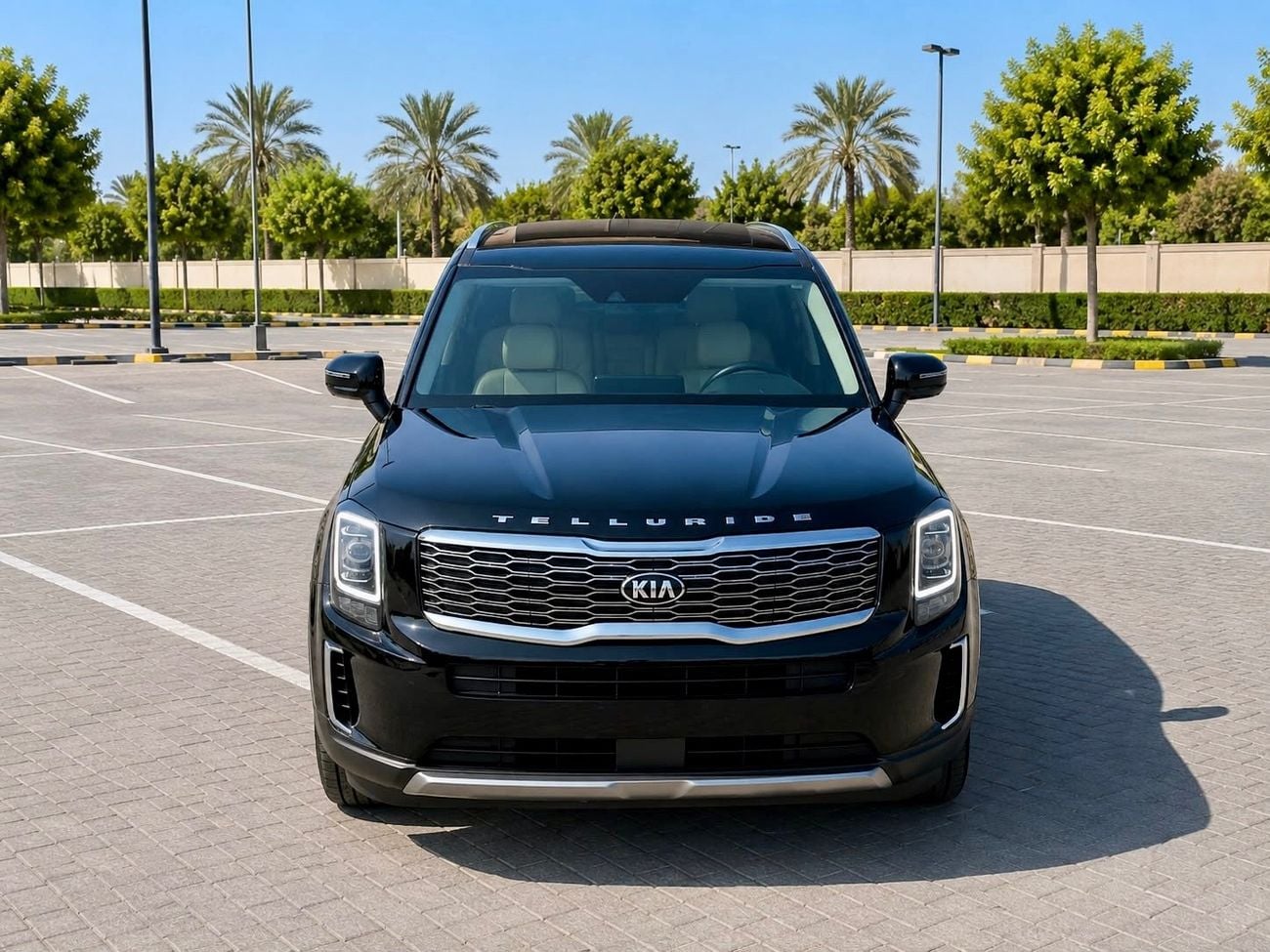Kia Telluride Kia Telluride AWD 3.8L V6 Petrol
