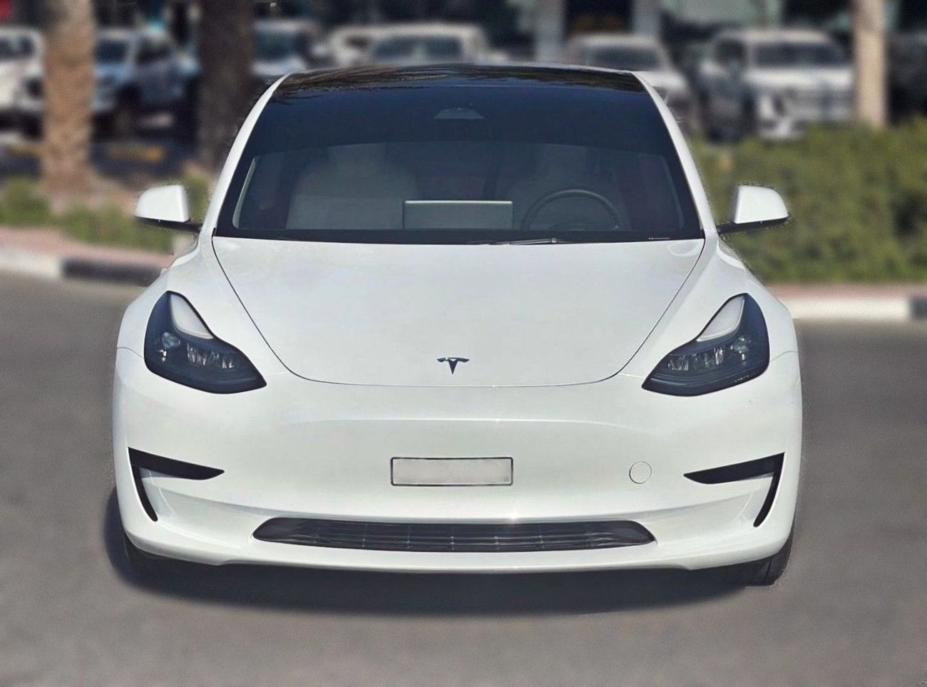 Tesla Model 3 Long Range (AWD)