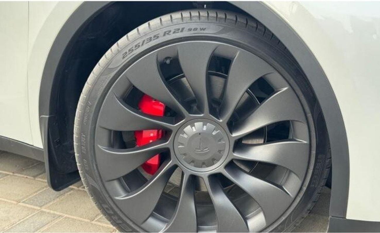 Tesla Model Y PERFORMANCE