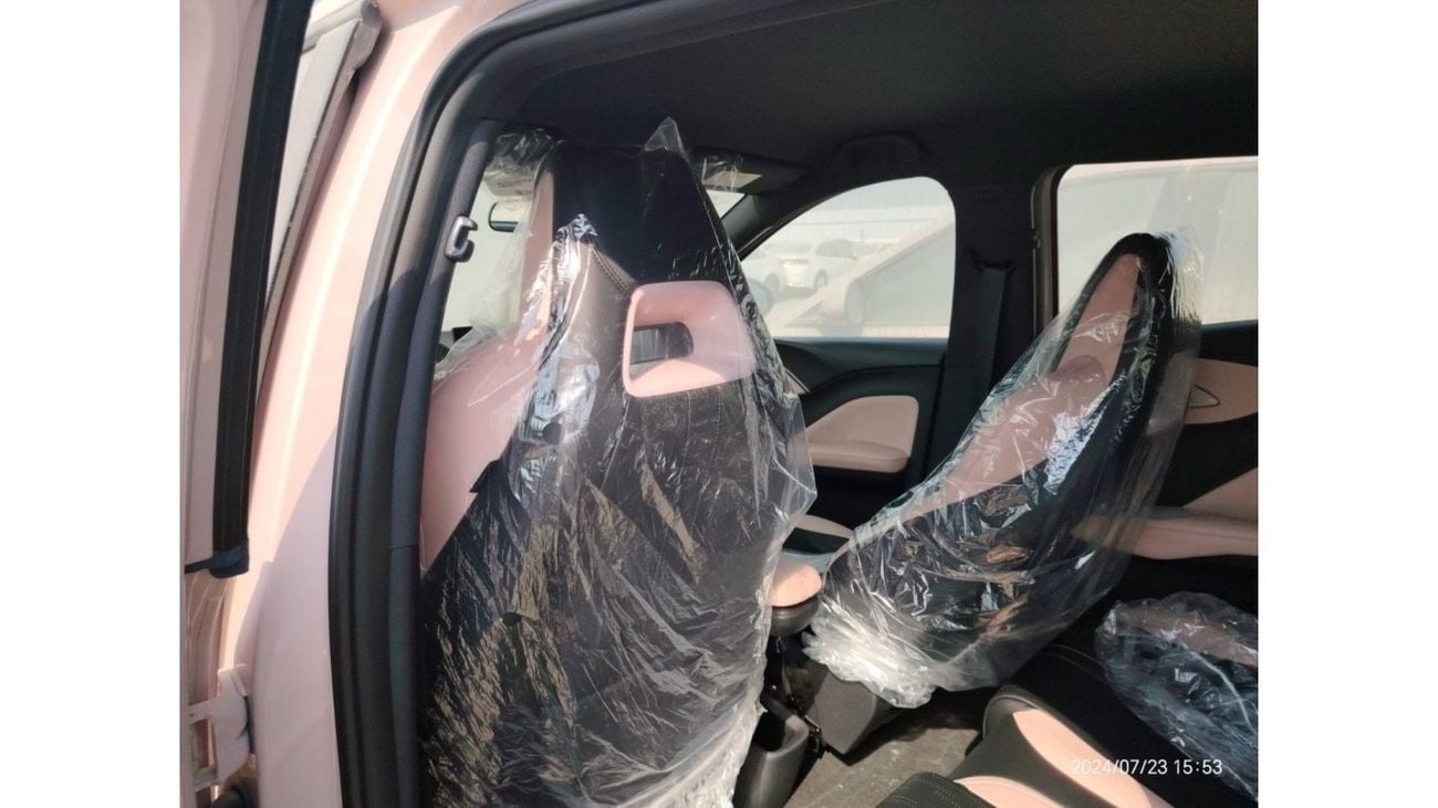 BYD Seagull BYD SEAGULL 2024 FLYING VERSION