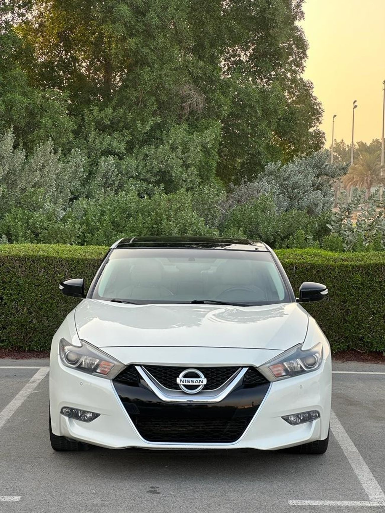 Nissan Maxima SL