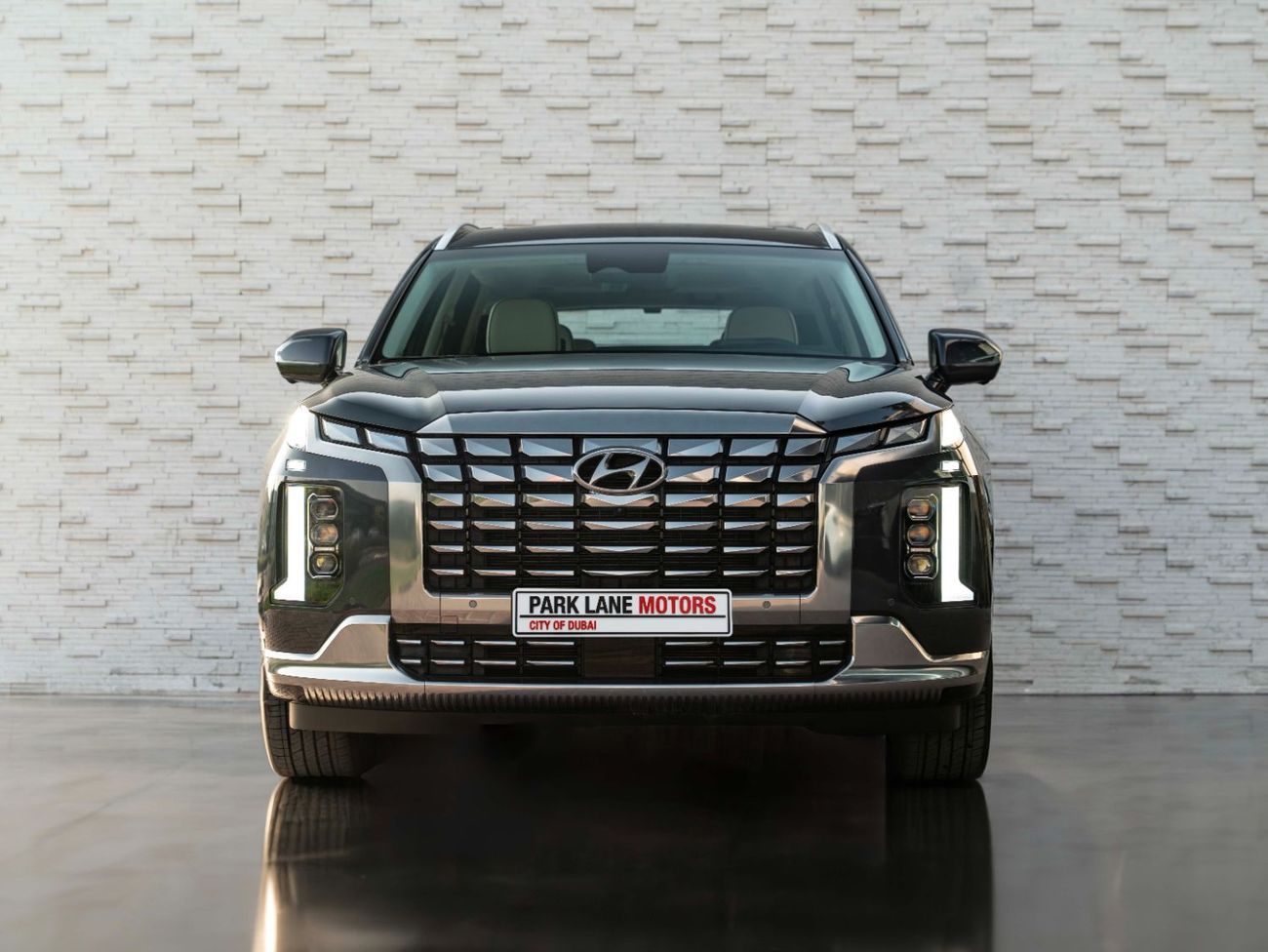 هيونداي باليساد Caligraphy