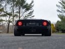 Ford GT Rare 1 of 14 Stripe Delete