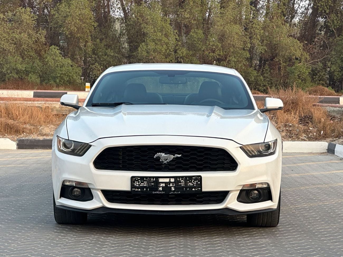 Ford Mustang PREMIUM