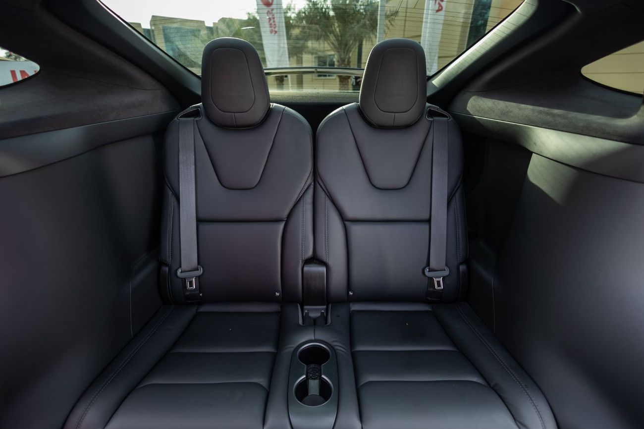 تسلا موديل اكس Performance