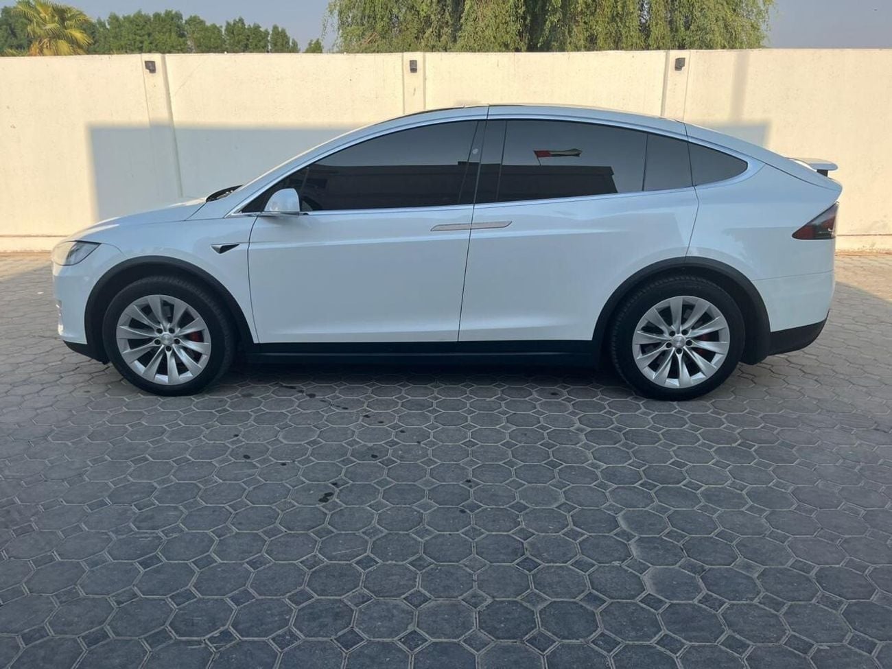 تسلا موديل اكس P100 D Long range