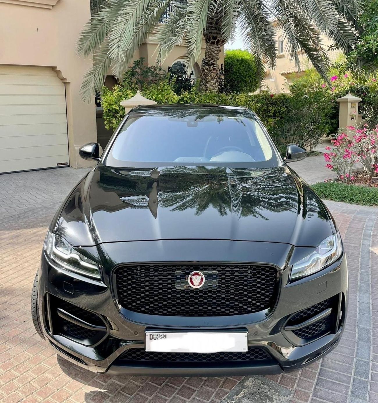 جاكوار F بيس R-Sport 2.0L