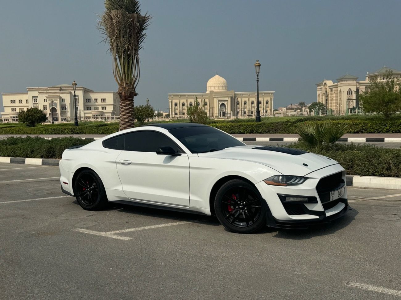 فورد موستانج