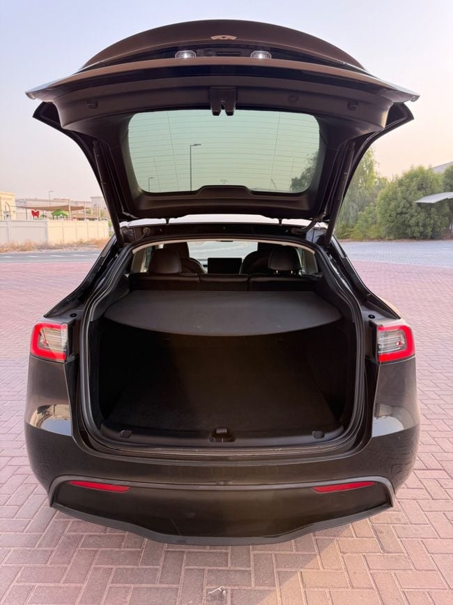 Tesla Model Y LONG RANGE, миниатюра 19