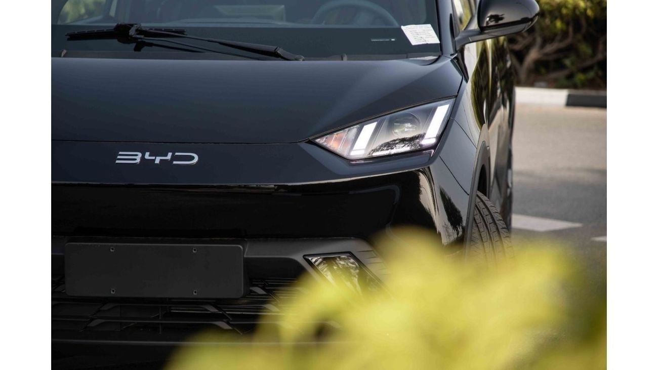 BYD Seagull 2024 BYD Seagull - Black inside Blue | Export Only